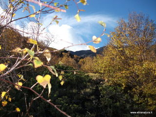 Vallone monte Zappinazzo